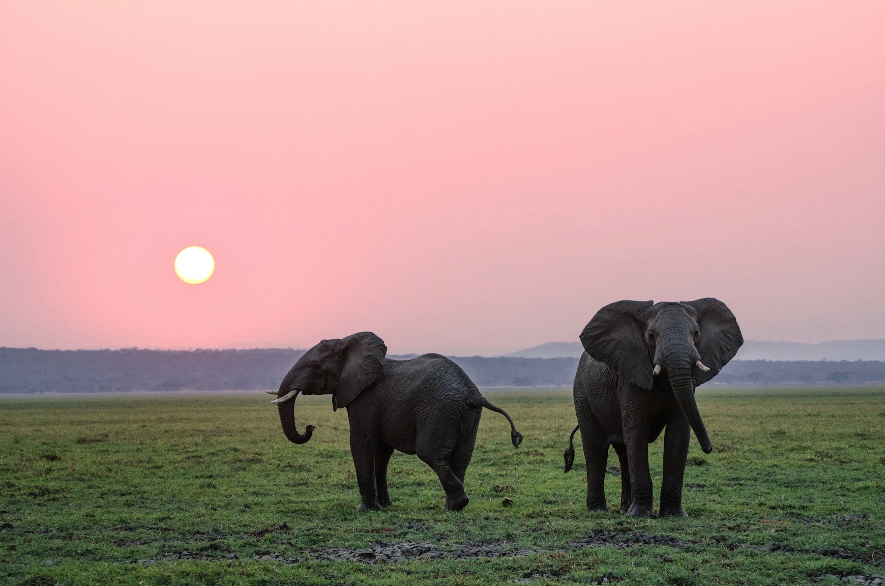 Katavi National Park