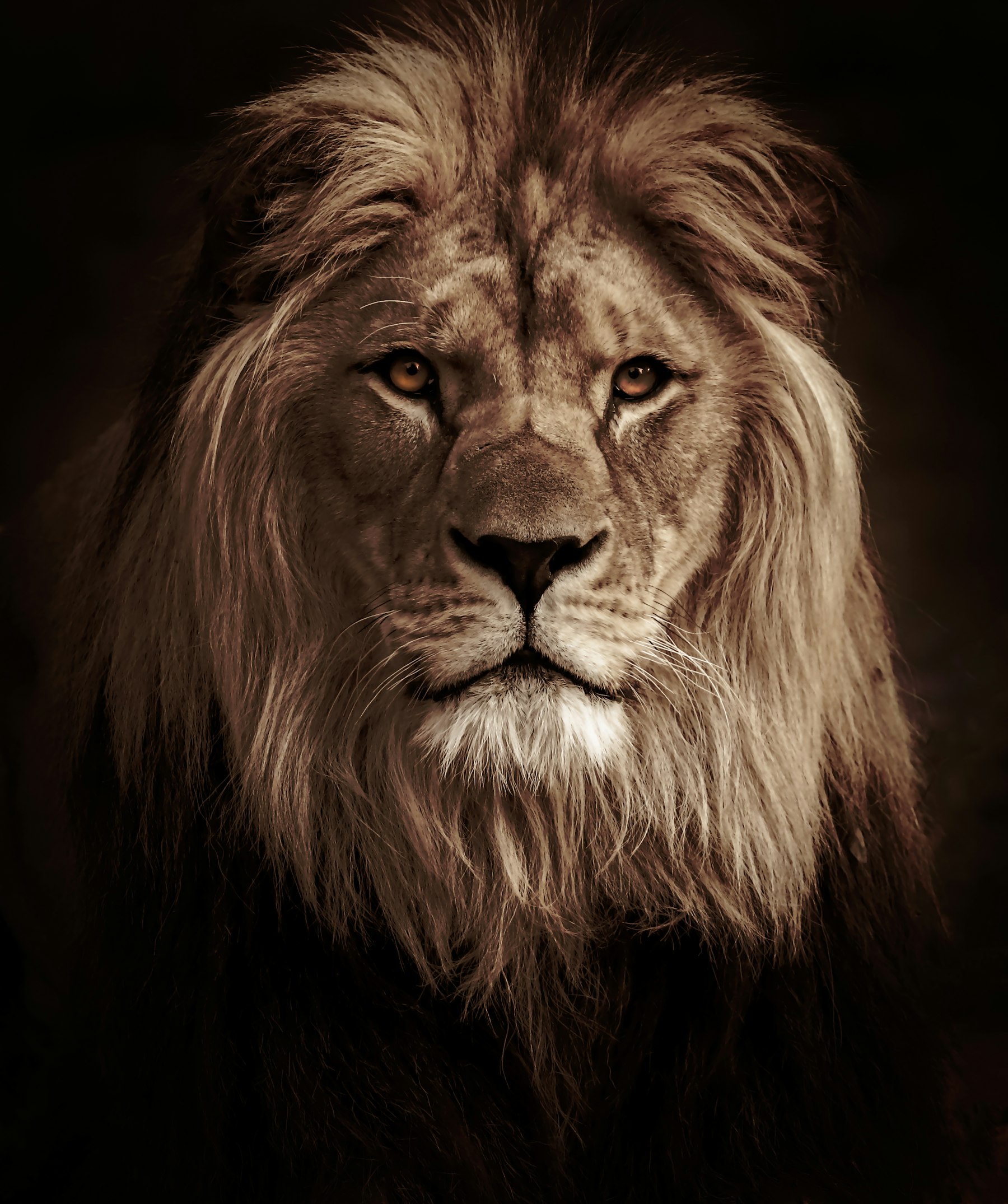 Serengeti National Park