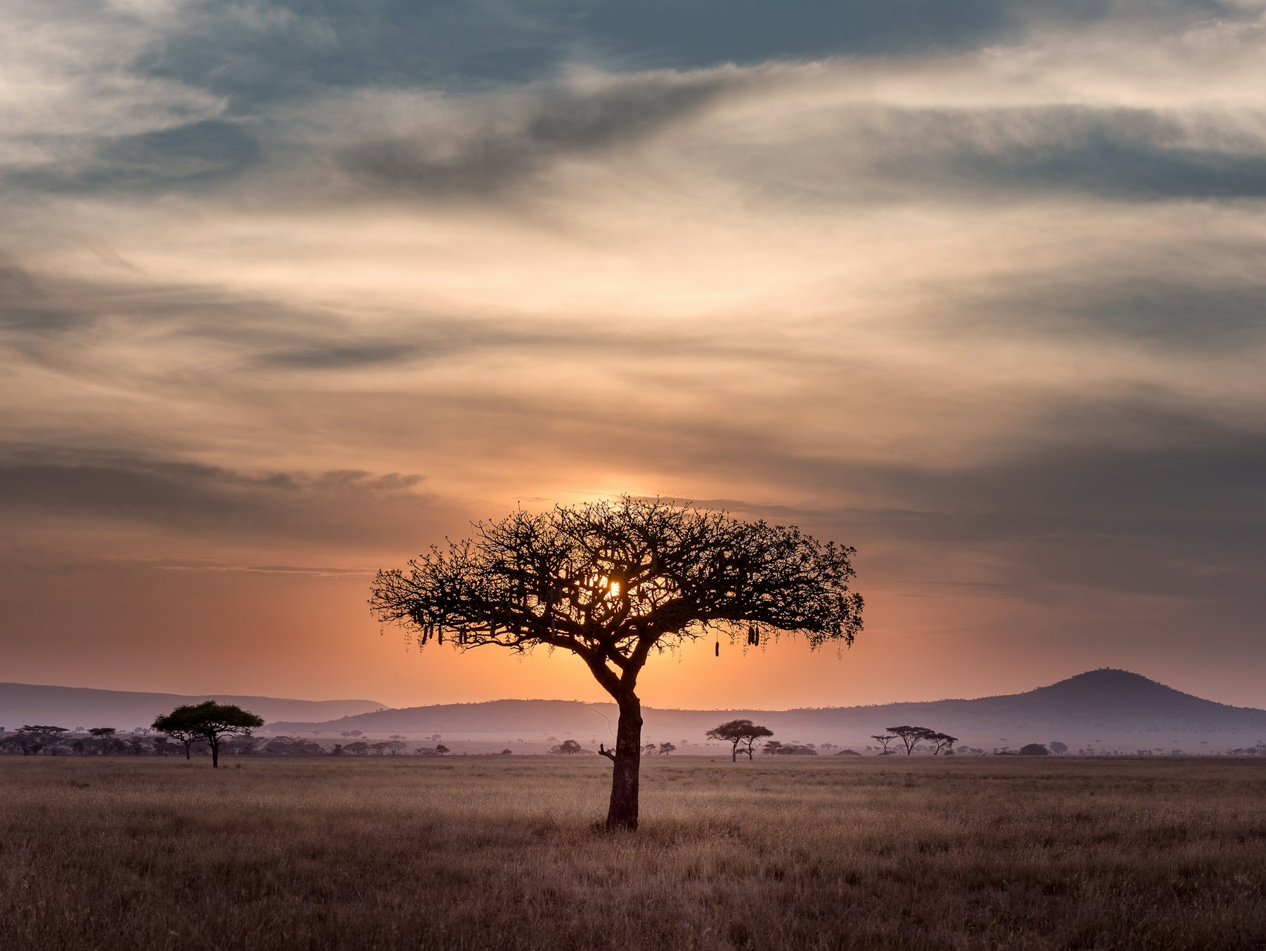The Honest Safari Packing List