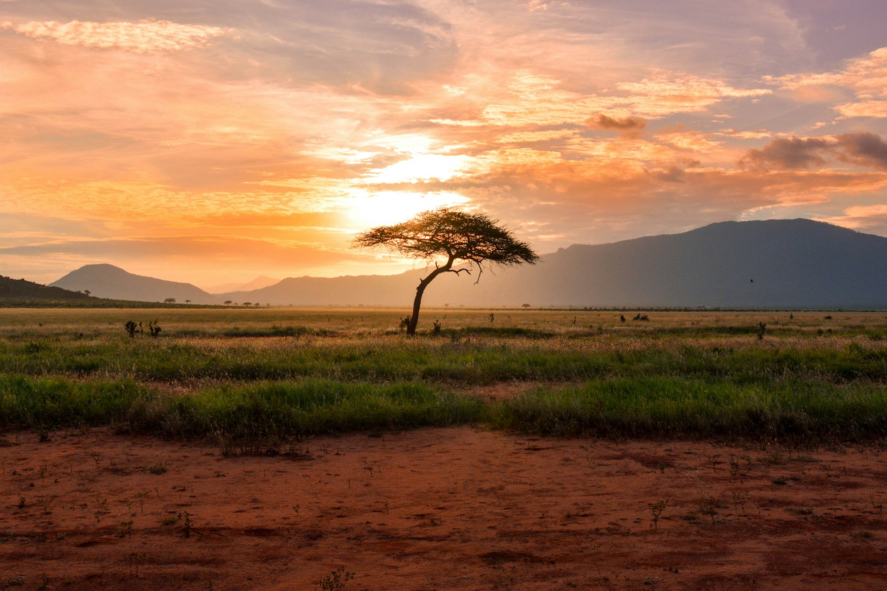 Tarangire National Park