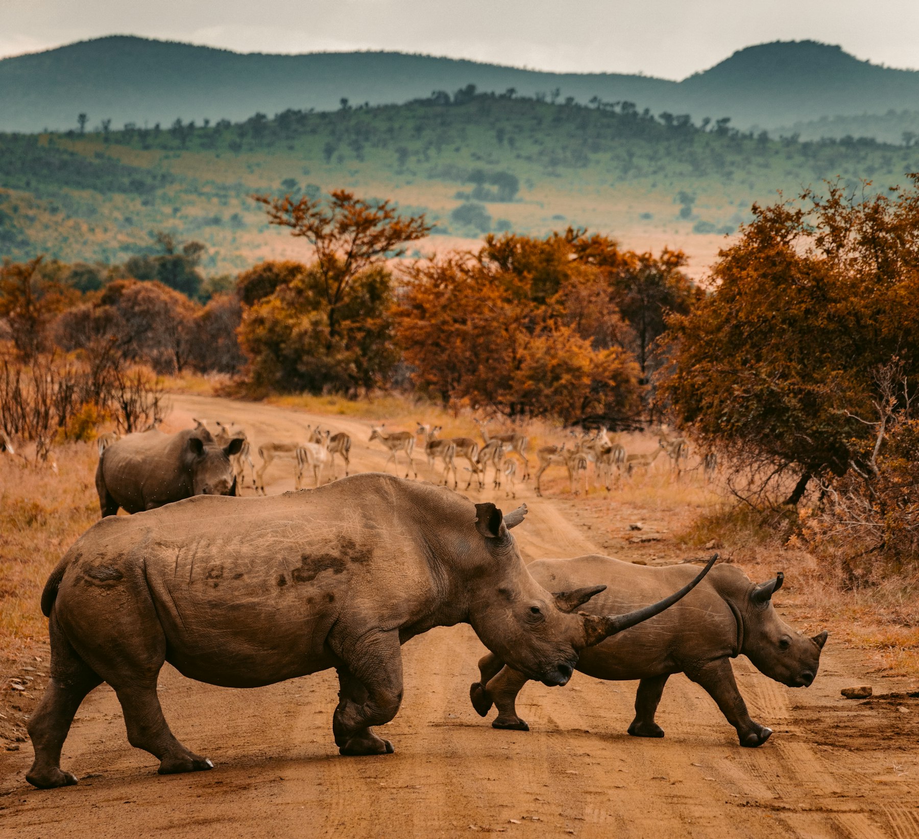 Ngorongoro Crater